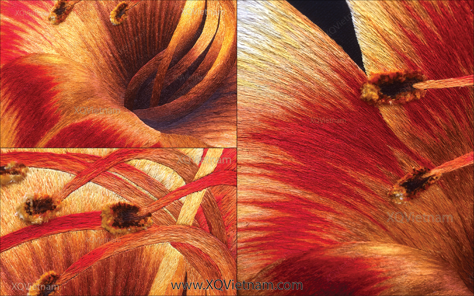 upload/images/phien doan 4 (1).png